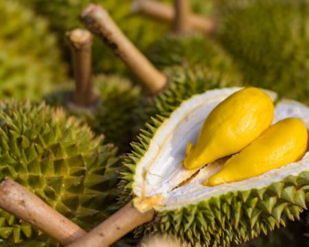 durian-768x576