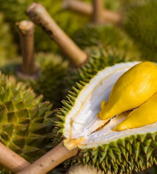 durian-768x576