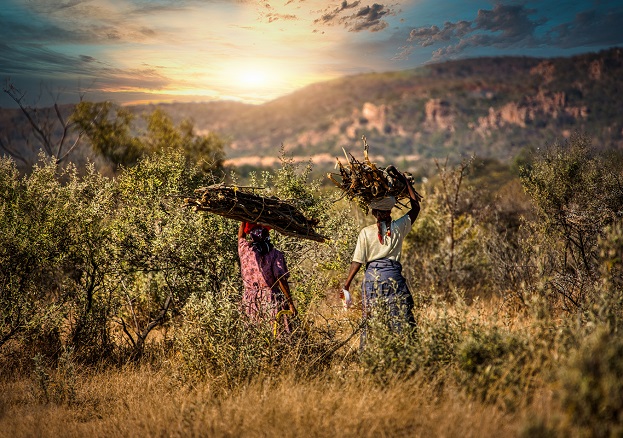 Two,African,Woman,In,A,Village,In,Botswana,Carry,Firewood